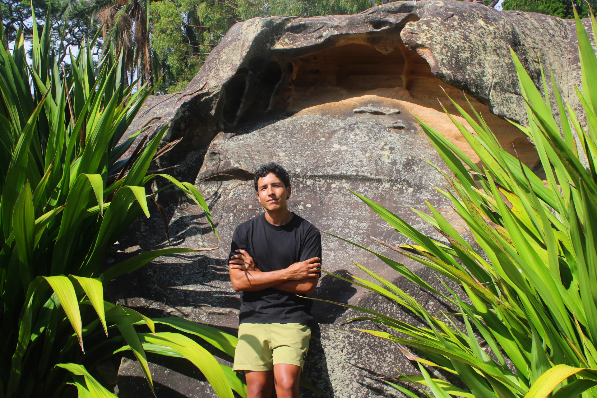 Tu viaje, organizado en un solo lugar.